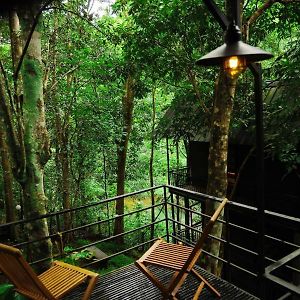Ranches Jungle Beats Resorts